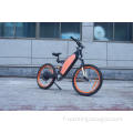 Custom design safety charging electric bicycle